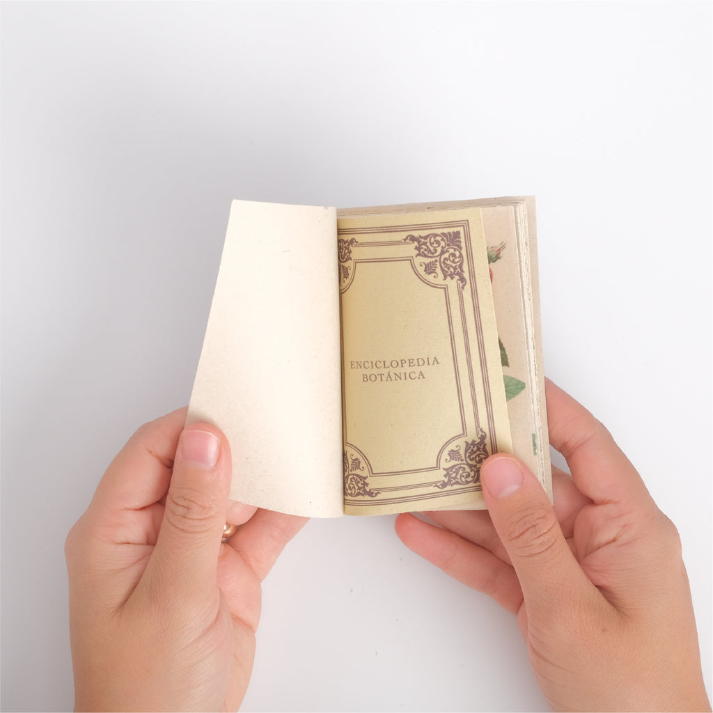 Mini Enciclopedia Botánica