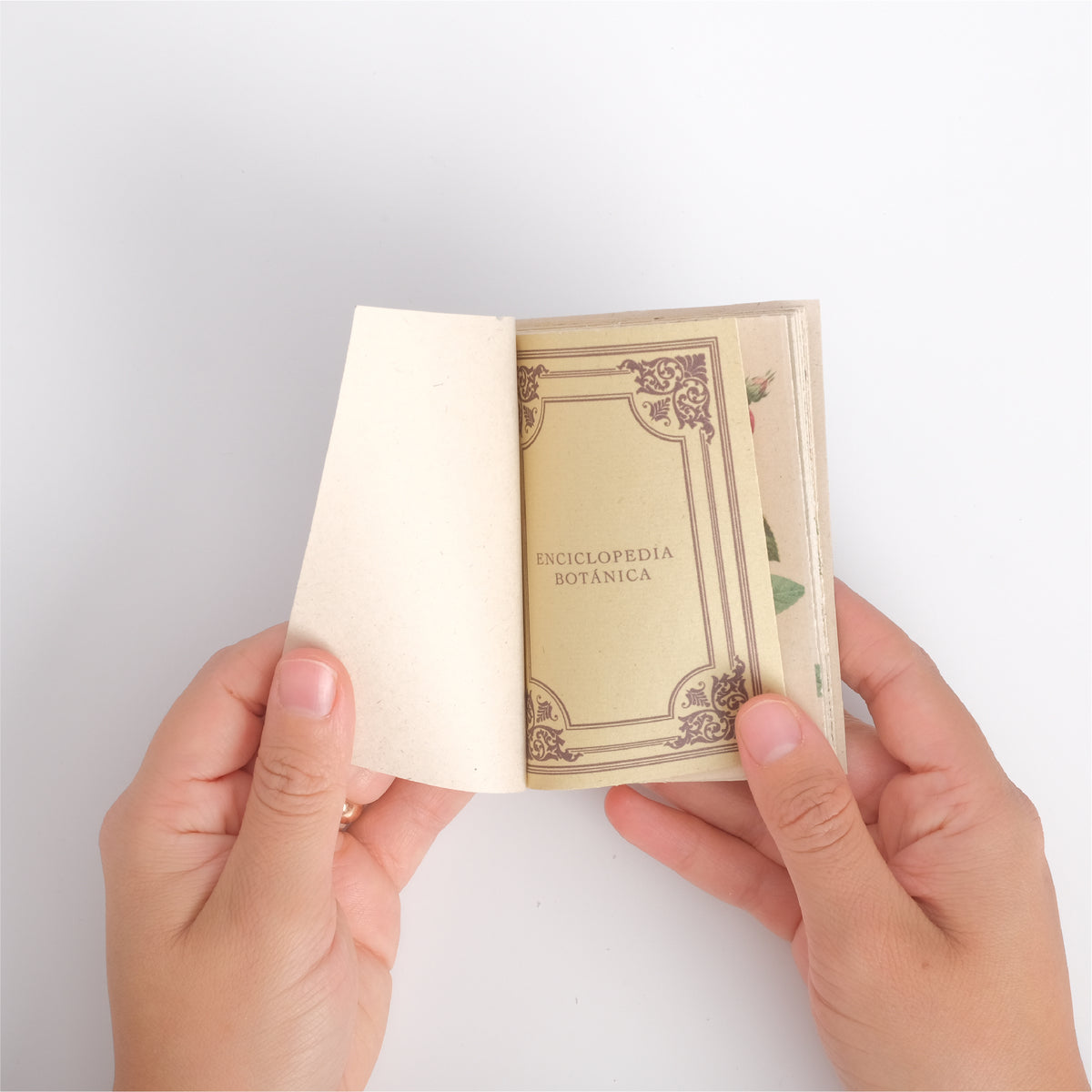 Mini Enciclopedia Botánica