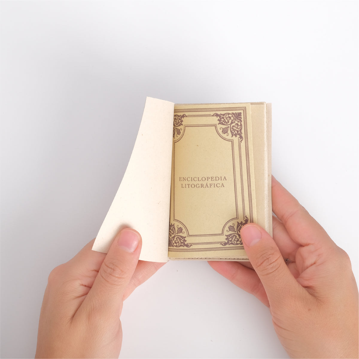 Mini Enciclopedia Litográfica
