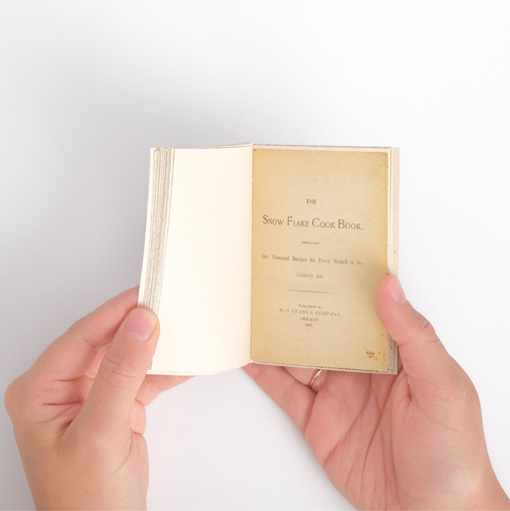 Mini Enciclopedia Litográfica