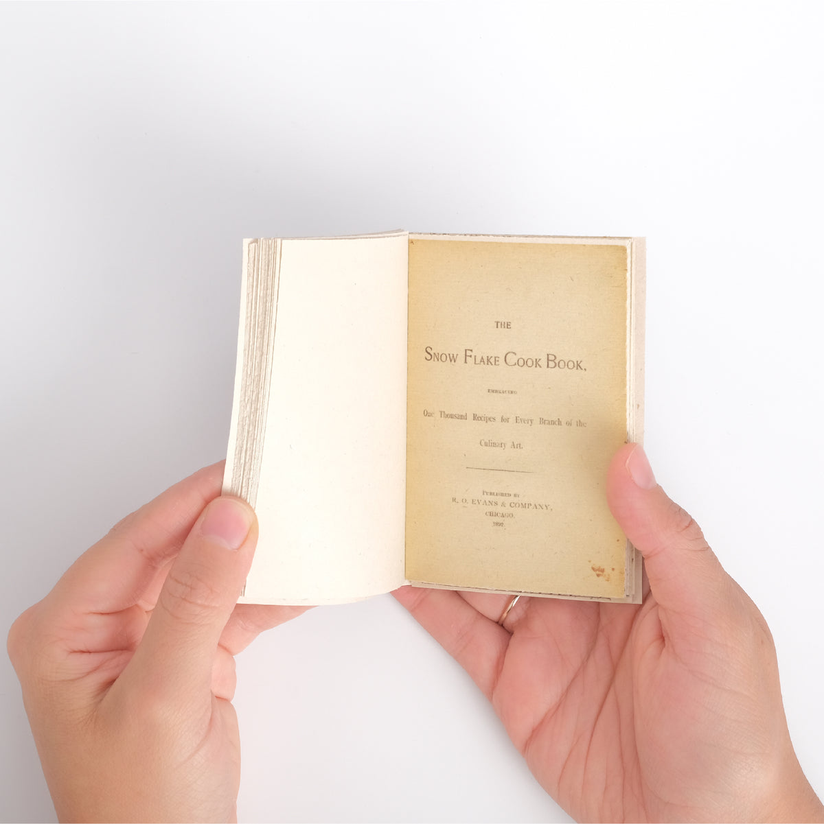 Mini Enciclopedia Litográfica