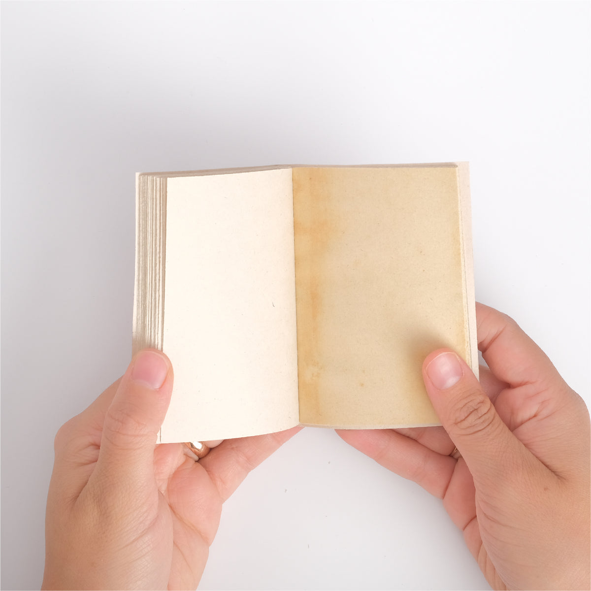 Mini Enciclopedia Texturas